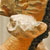 AboveTheClouds_back