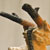 AboveTheClouds_backright