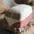 MechanicalEvolution_bus
