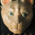 CatFace_front