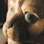 CatFace_left