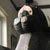Lion_frontleft