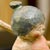 Kintaro_sideface
