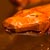 Hashi-Oki_Crocodile_face