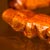 Hashi-Oki_Crocodile_back_L