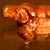 Hashi-Oki_dog_side