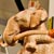 LittleCircus_side