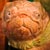 ThiefDog_face