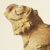 Eto_Tiger_002