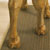 Eto_Horse_003