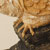Eto_Bird_002