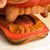 Shishi_Torajishi_tooth